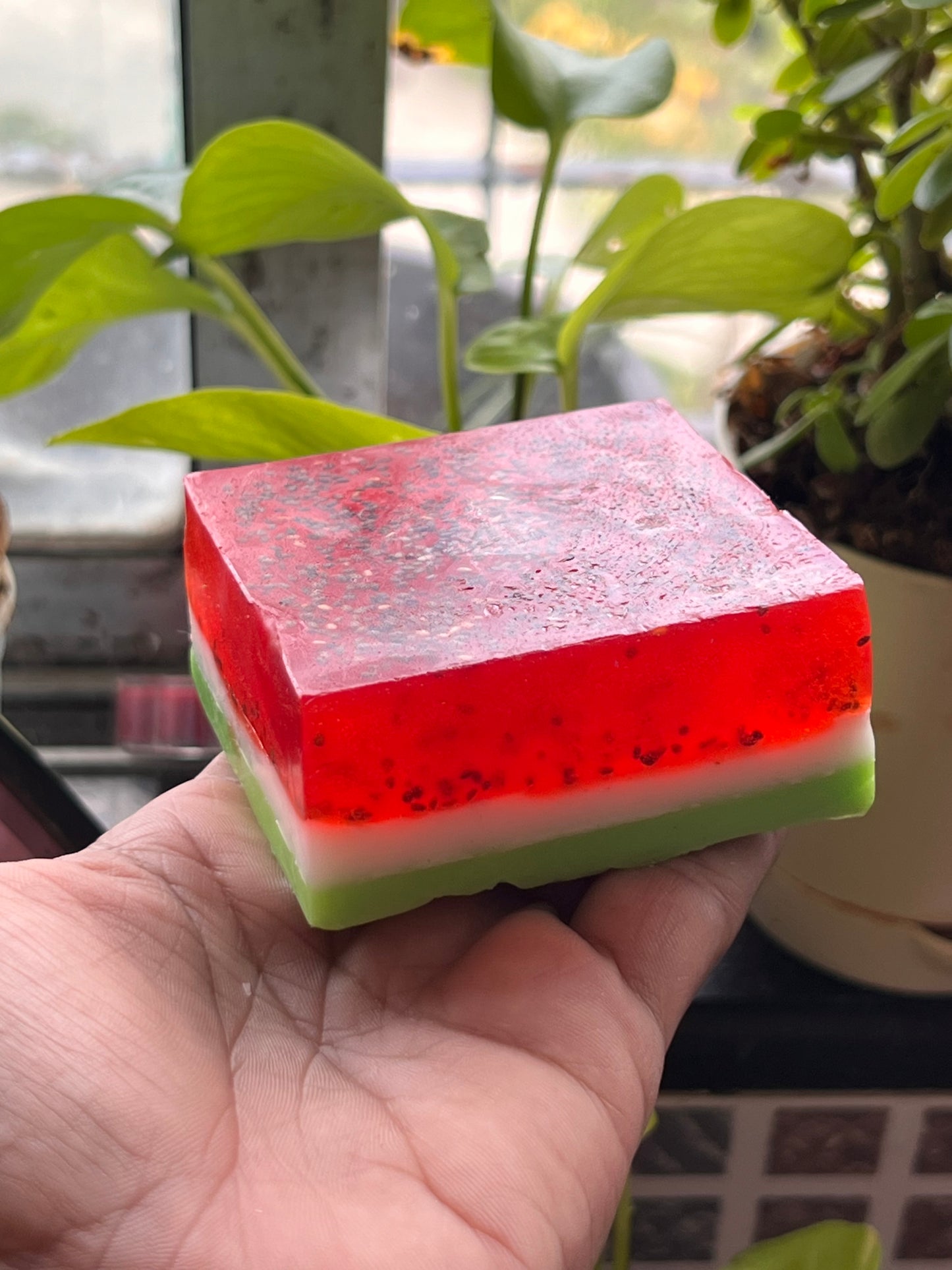 Water melon soap