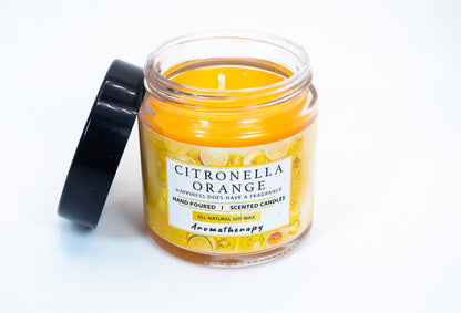 Citronella Orange Candle